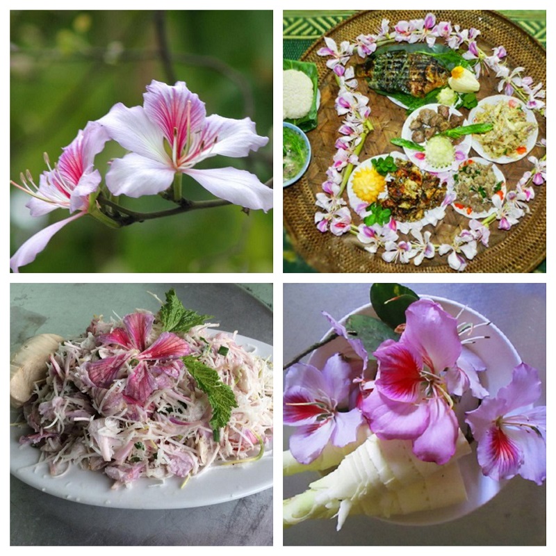 Điểm tên những món ăn ngon độc đáo làm từ hoa ban ở TP Điện Biên
