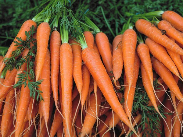 Mẹo lựa chọn và bảo quản cà rốt